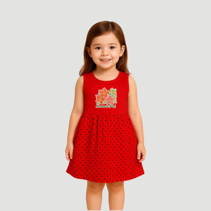 Pack of best 3 - Girls’ Sleeveless Floral Printed Frock (Age 0-3 yrs)