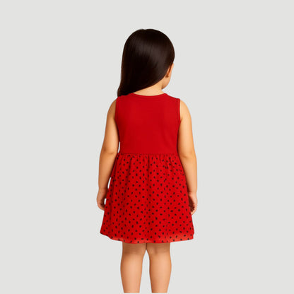 Pack of best 3 - Girls’ Sleeveless Floral Printed Frock (Age 0-3 yrs)