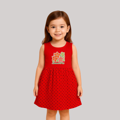 Pack of best 3 - Girls’ Cotton Sleeveless Frock (Age 0-3 yrs)